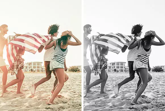 Lightroom Black and white presets