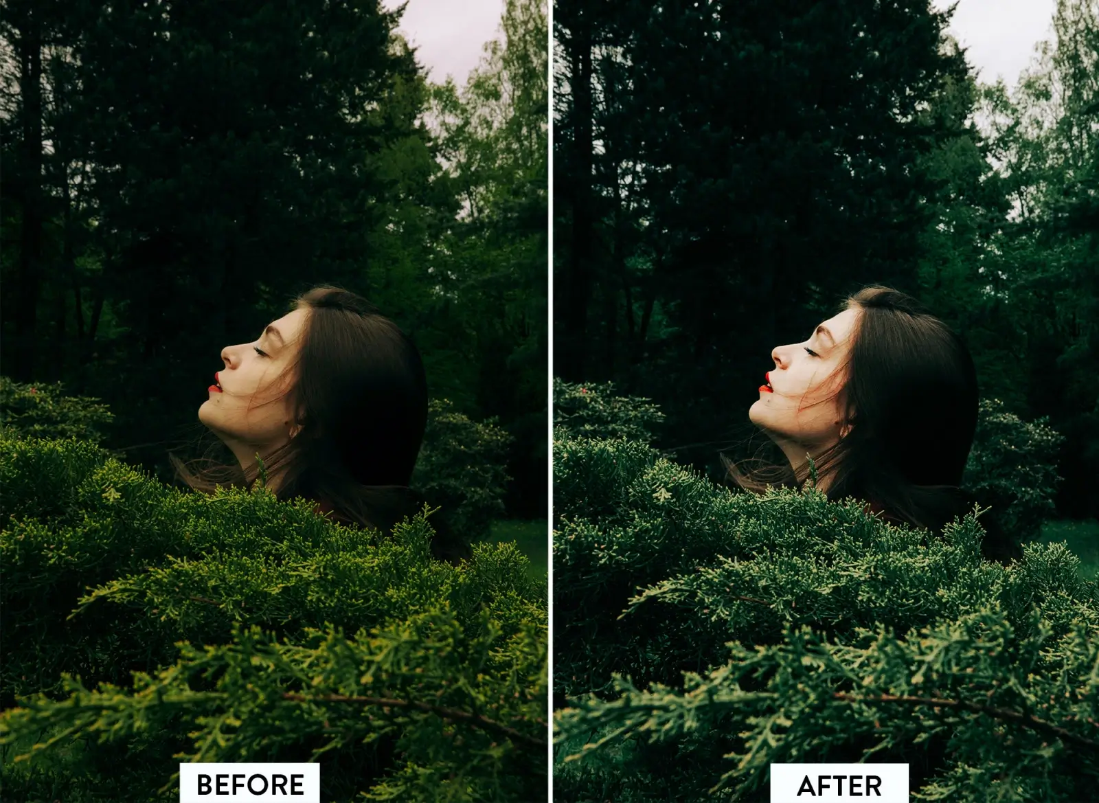 Lightroom Nature Presets